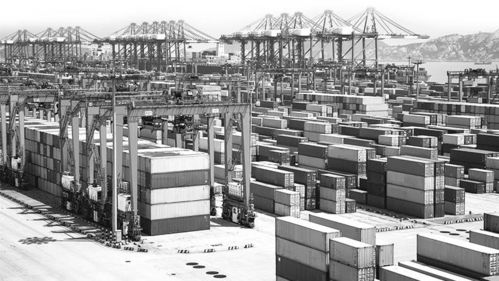 疫情下,物流新趨勢帶來機遇